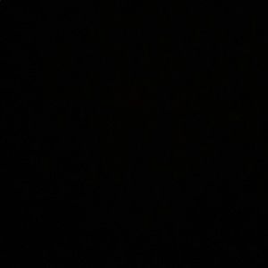 Meet your Posher, Ava